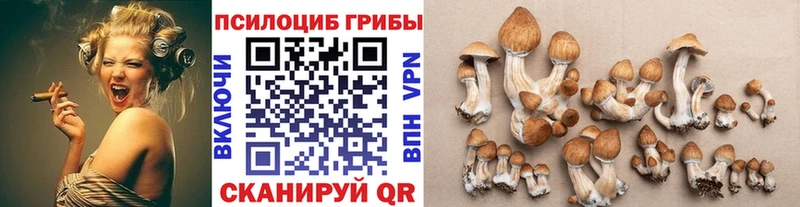 Псилоцибиновые грибы GOLDEN TEACHER  Надым 